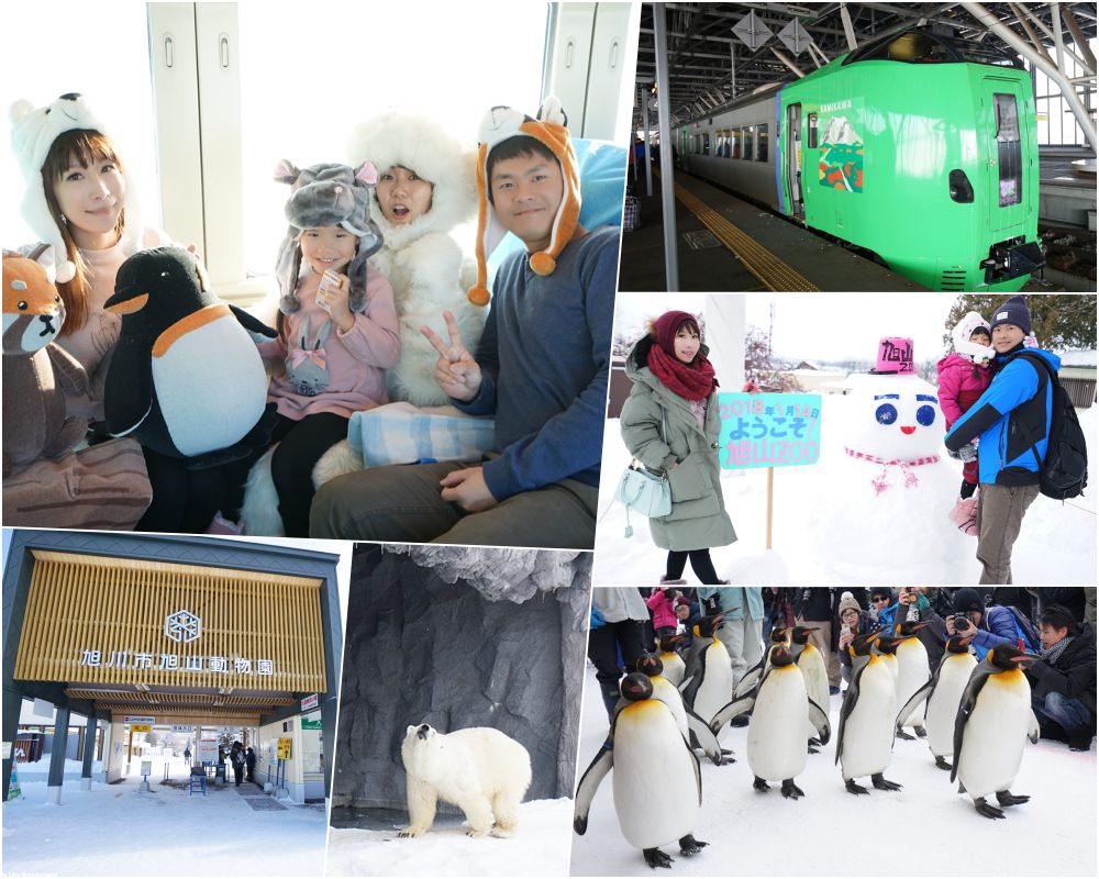 【北海道自由行】旭山動物園 旭川親子景點推薦 ♥ 看北極熊&企鵝散步