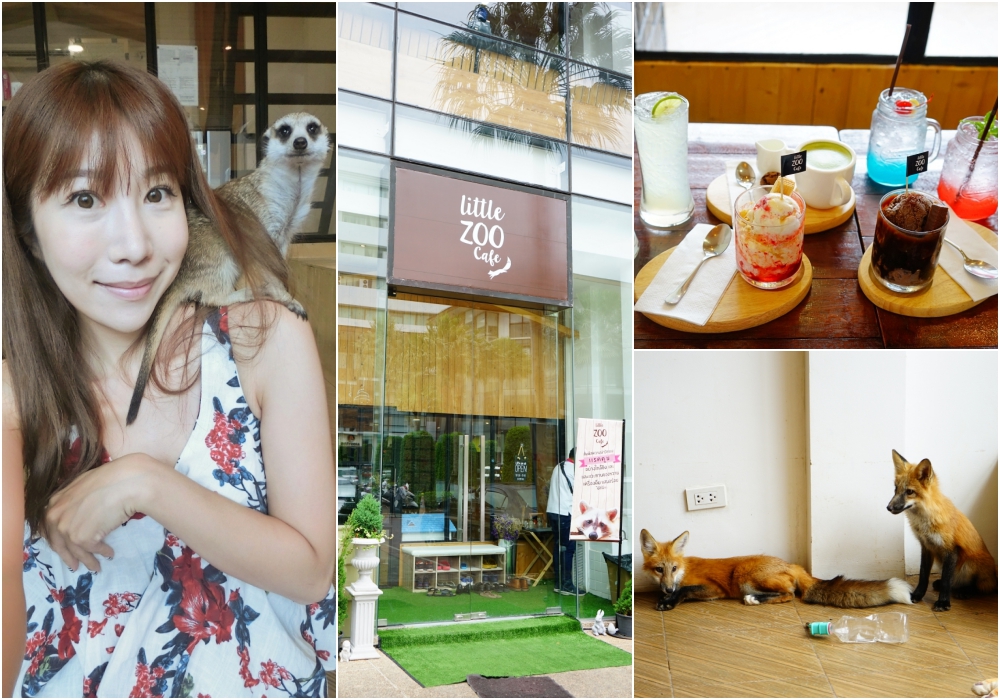【泰國】曼谷寵物咖啡廳 Little ZOO cafe ♥ 動物園餐廳超療癒阿