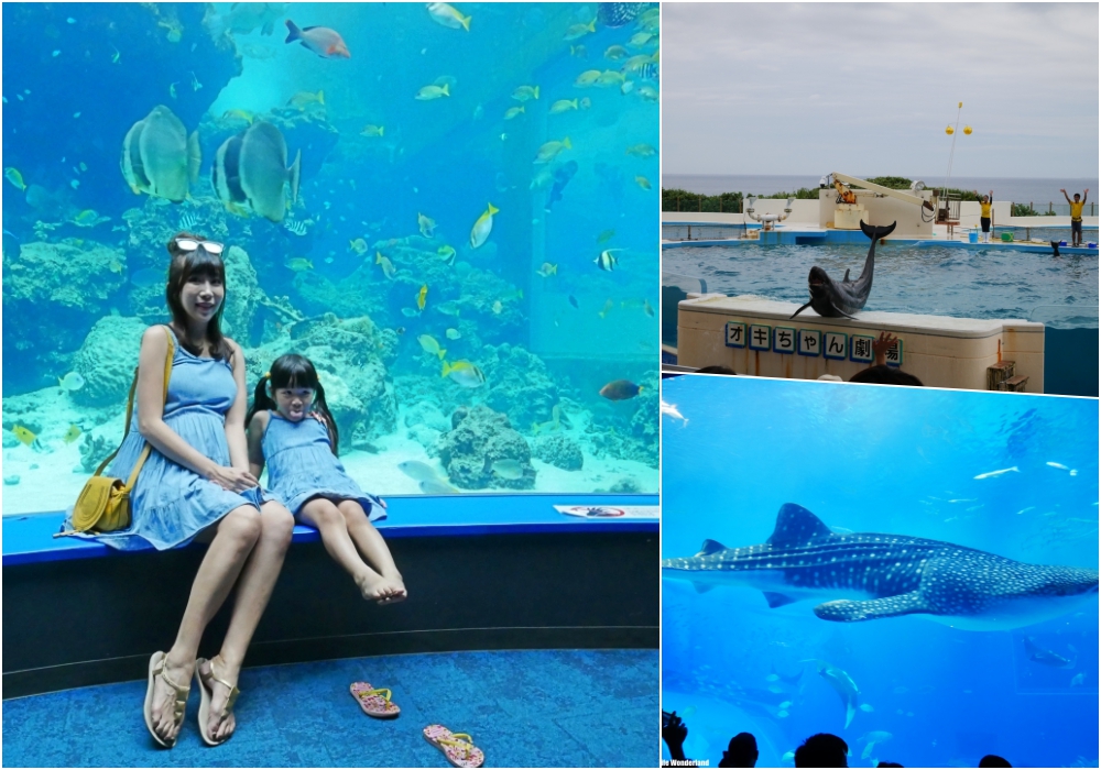 【沖繩自由行】沖繩親子景點推薦 ♥ 沖繩美麗海水族館