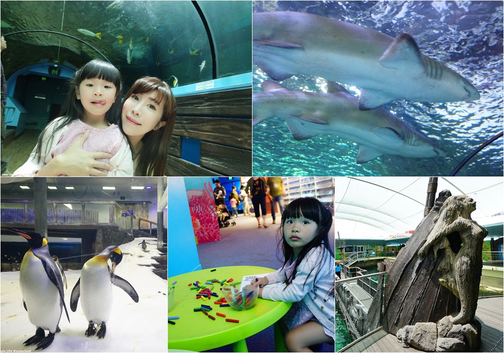 【澳洲自由行】雪梨必去親子景點推薦 ♥ 雪梨水族館 SEA LIFE Sydney Aquarium