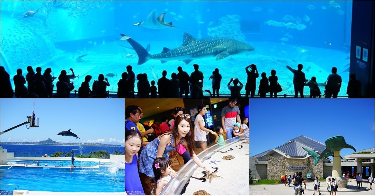 【沖繩自由行】沖繩景點推薦、沖繩親子景點♥海洋博公園 (沖繩美麗海水族館)