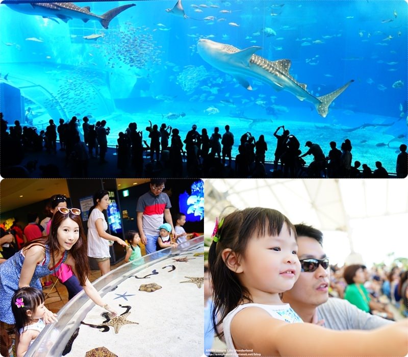 【沖繩】海洋博公園 (沖繩美麗海水族館) ♥ 親子推薦必遊景點